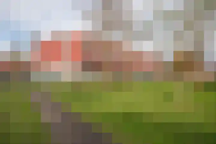 Meerval 92 Amersfoort thumbnail 29