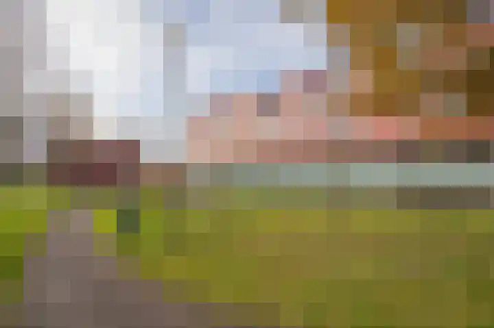 Meerval 92 Amersfoort thumbnail 30