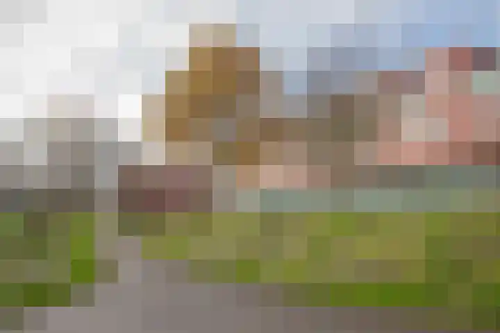 Meerval 92 Amersfoort thumbnail 31