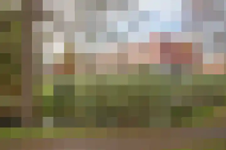 Meerval 92 Amersfoort thumbnail 32