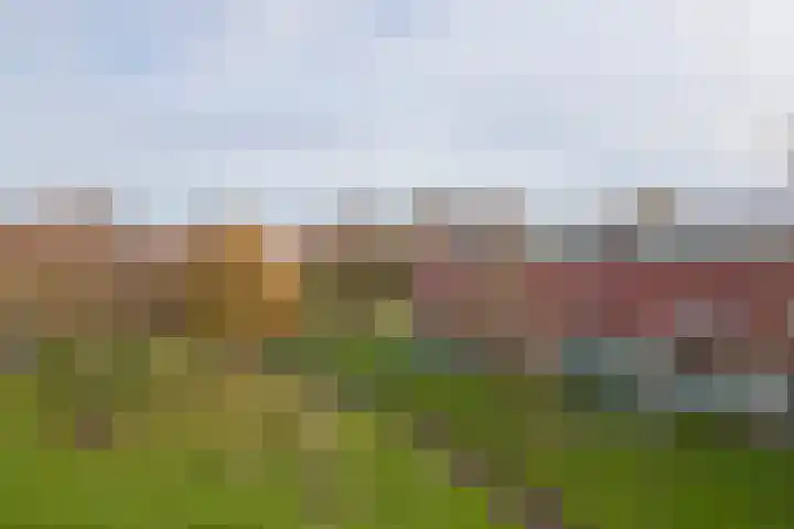 Meerval 92 Amersfoort thumbnail 33