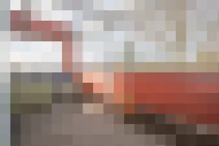 Meerval 92 Amersfoort thumbnail 4