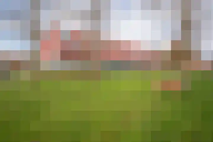 Meerval 92 Amersfoort thumbnail 5