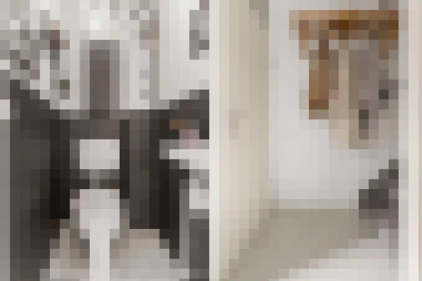 Meervalsloot 33 Houten thumbnail 16