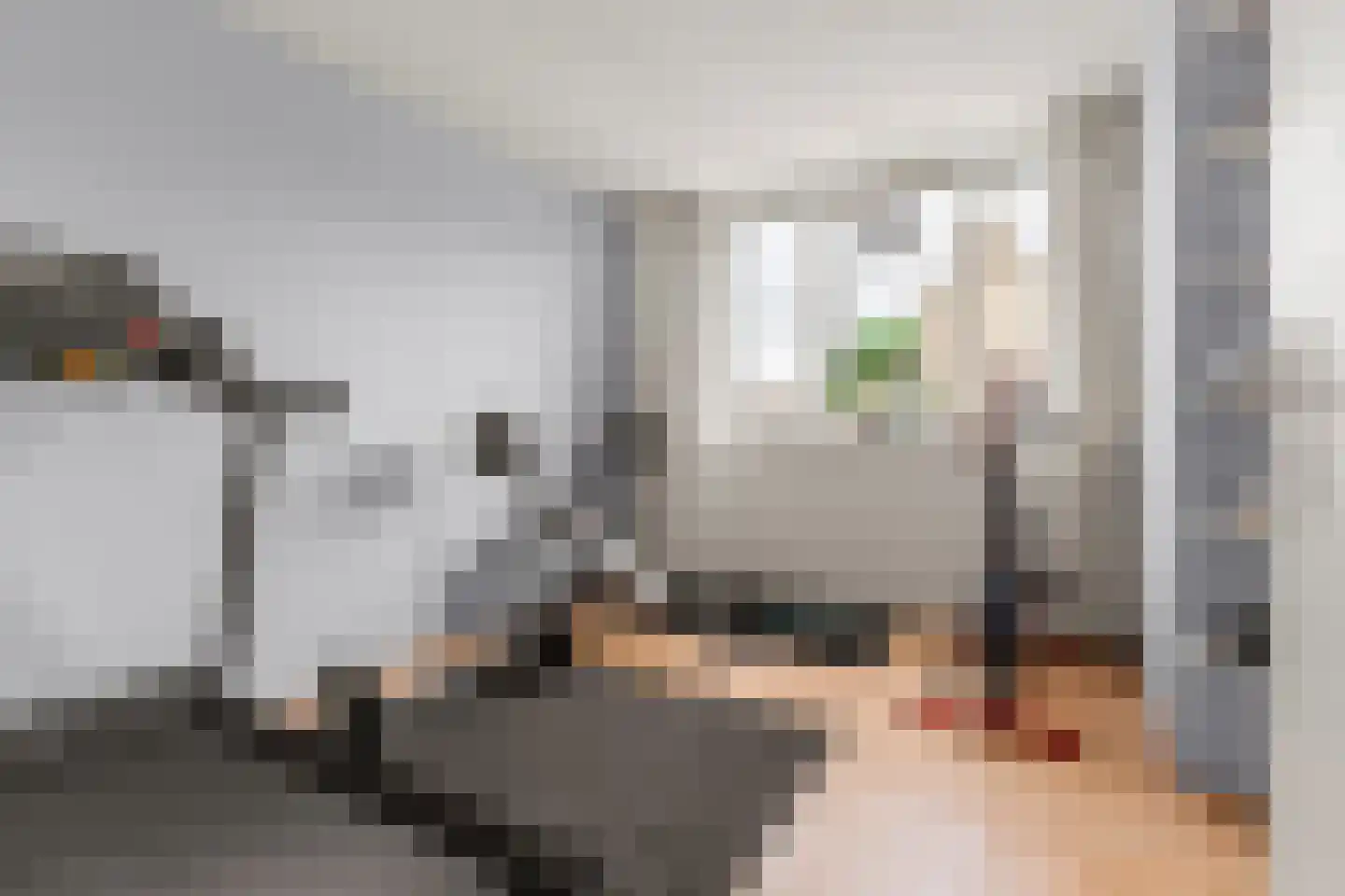 Meervalsloot 33 Houten thumbnail 20