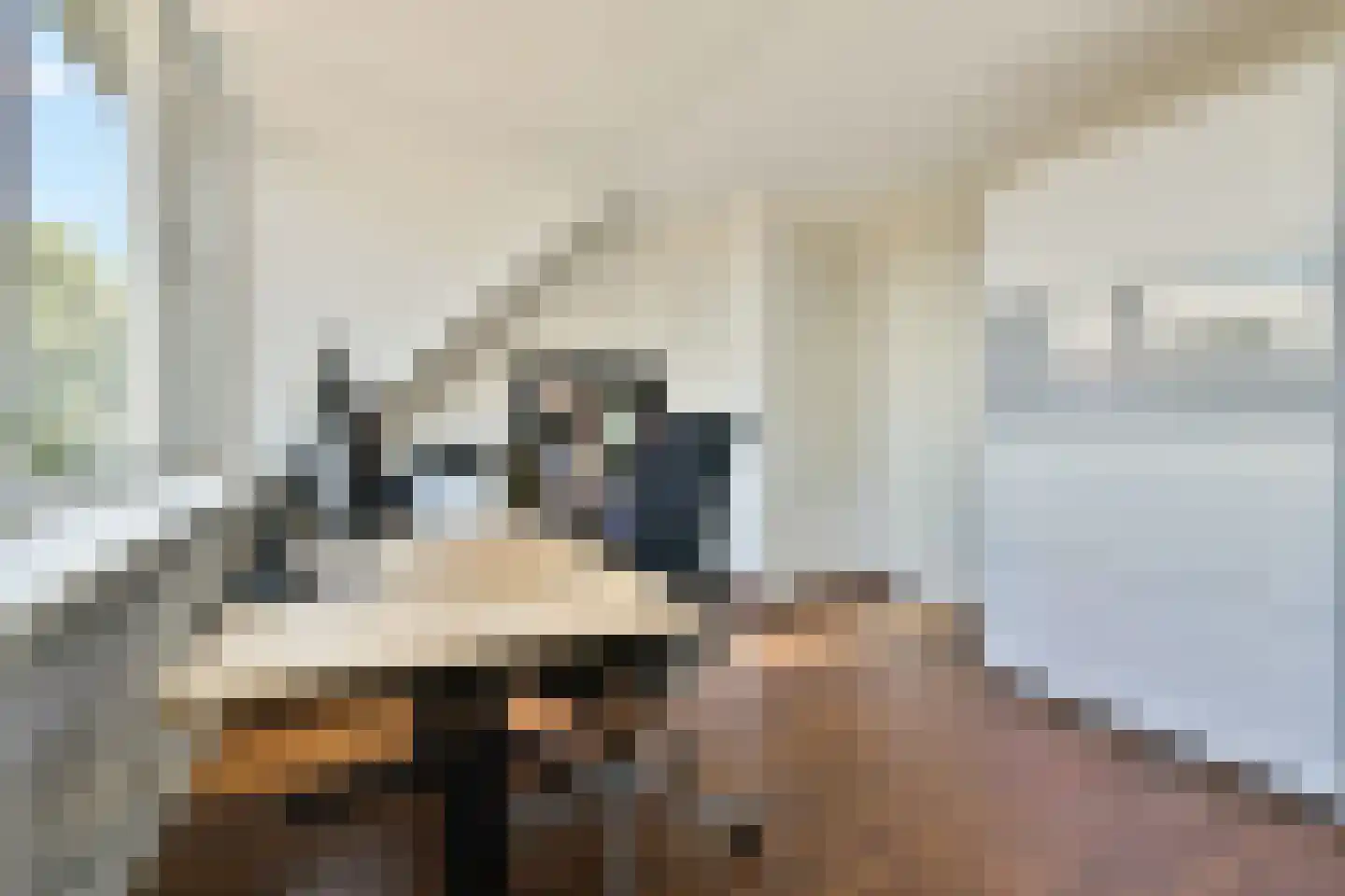 Meervalsloot 6 Zoetermeer thumbnail 22