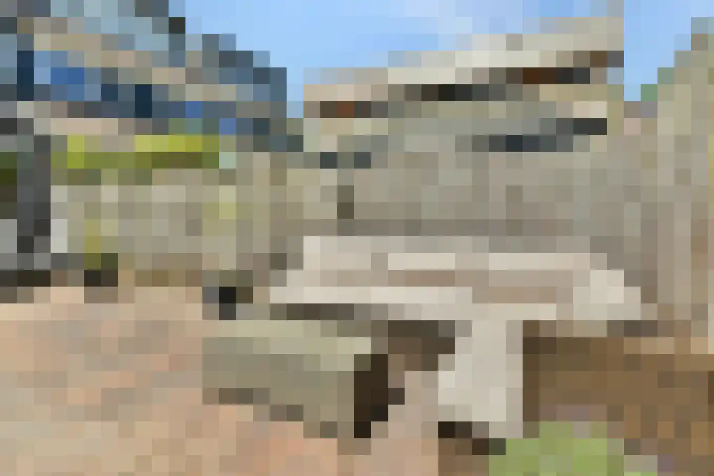 Meervalsloot 6 Zoetermeer thumbnail 27