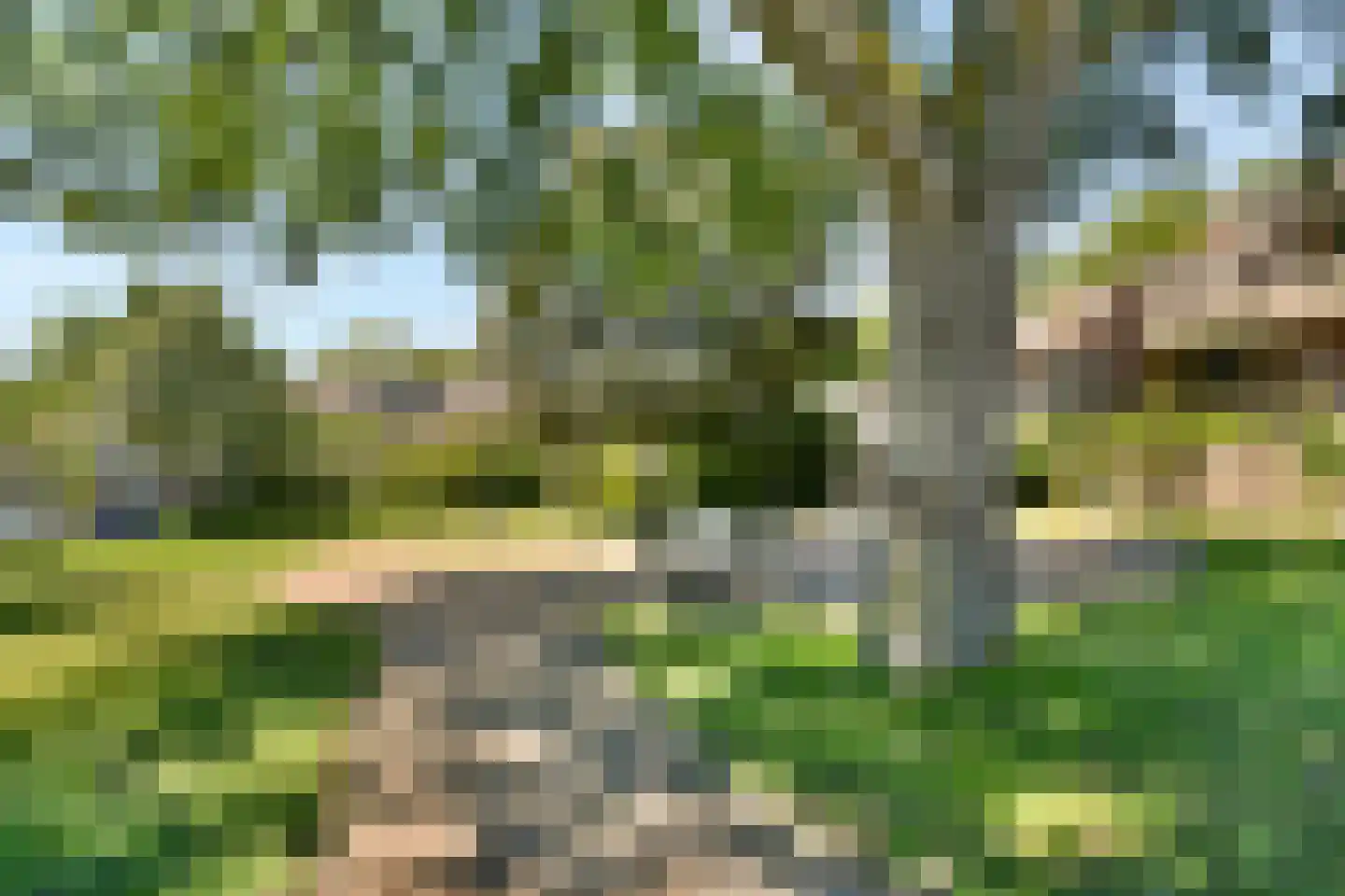 Meervalsloot 6 Zoetermeer thumbnail 31