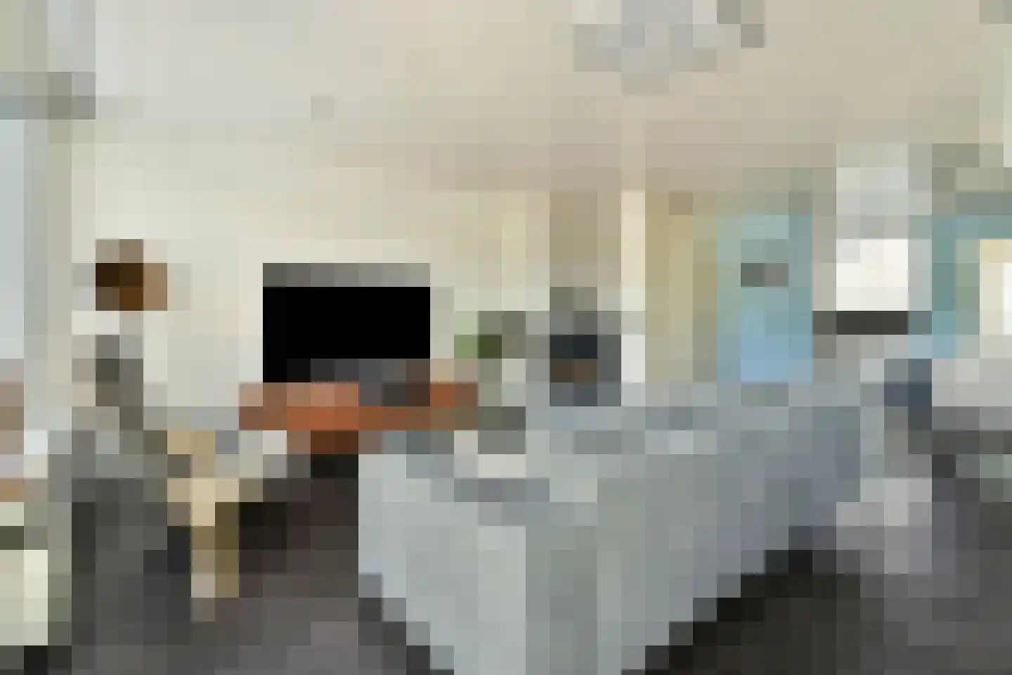 Meervalsloot 6 Zoetermeer thumbnail 8