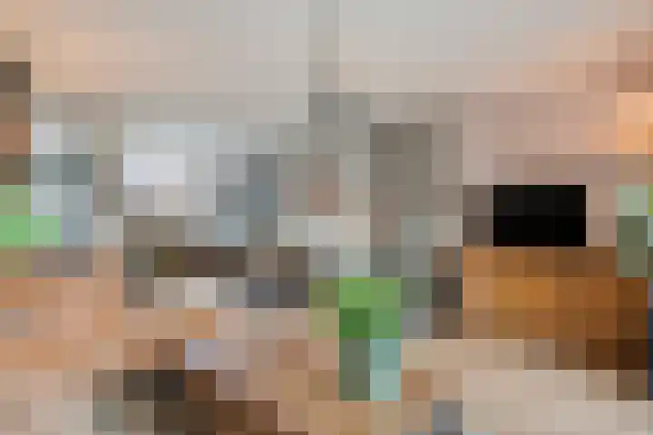 Meervalweg 118 Landsmeer thumbnail 14