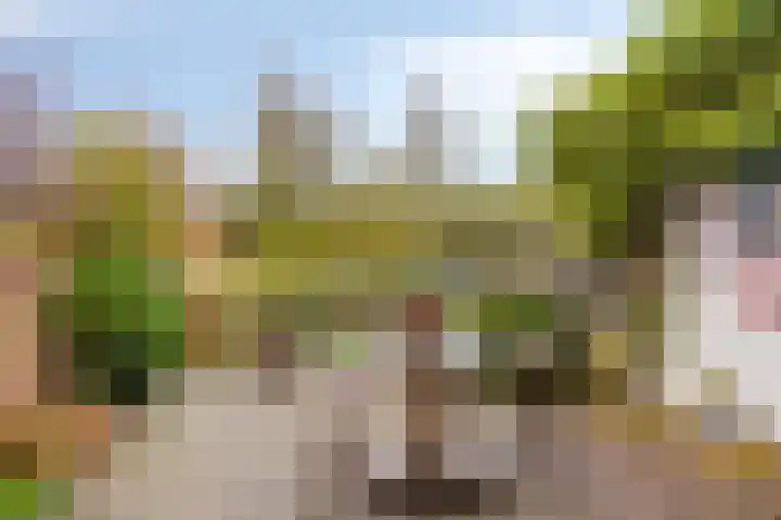 Meervalweg 118 Landsmeer thumbnail 16