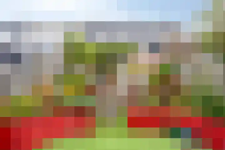 Meervalweg 118 Landsmeer thumbnail 17