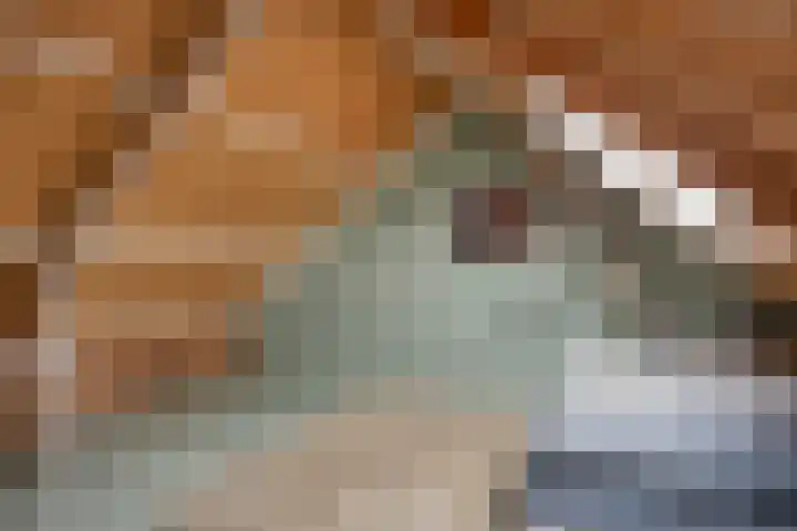 Meervalweg 118 Landsmeer thumbnail 30