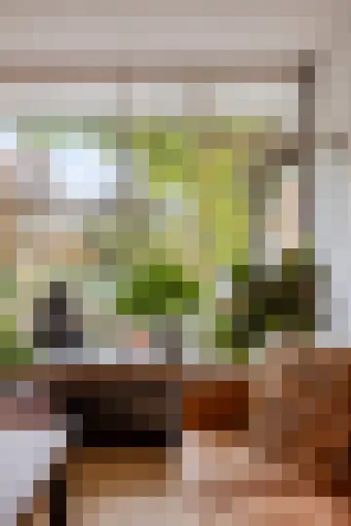 Meervalweg 118 Landsmeer thumbnail 37