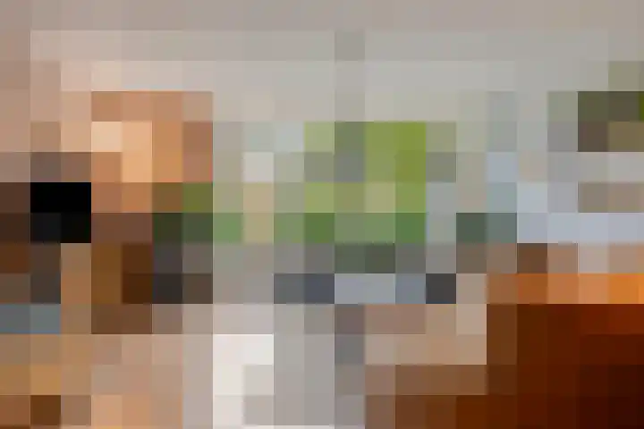 Meervalweg 118 Landsmeer thumbnail 4