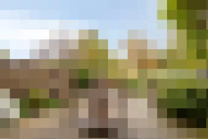 Meervalweg 118 Landsmeer thumbnail 40