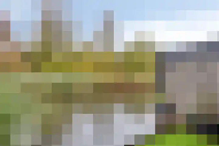 Meervalweg 118 Landsmeer thumbnail 41