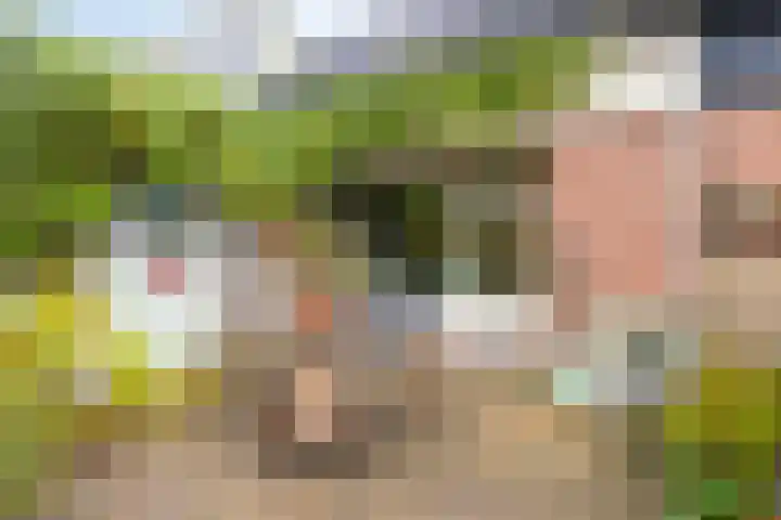 Meervalweg 118 Landsmeer thumbnail 42