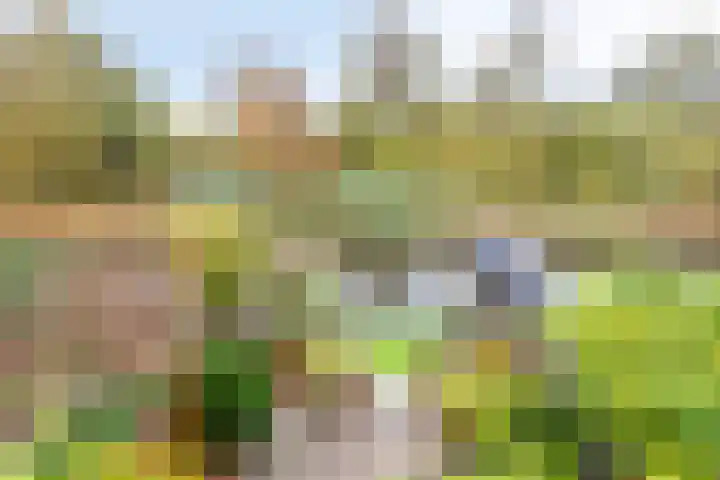 Meervalweg 118 Landsmeer thumbnail 44