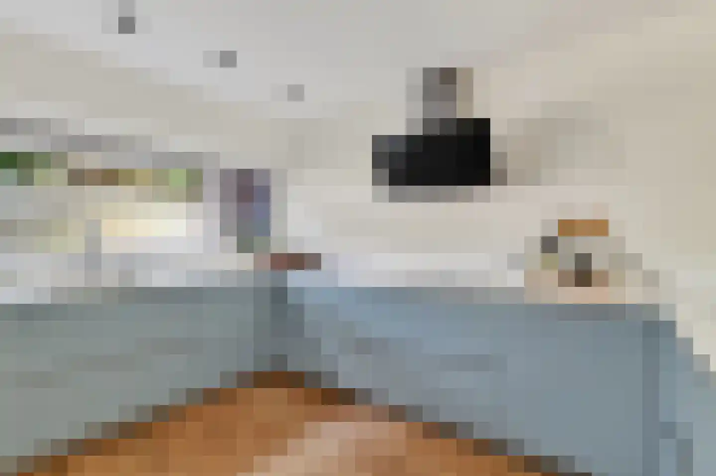 Meervalweg 35 Landsmeer thumbnail 18