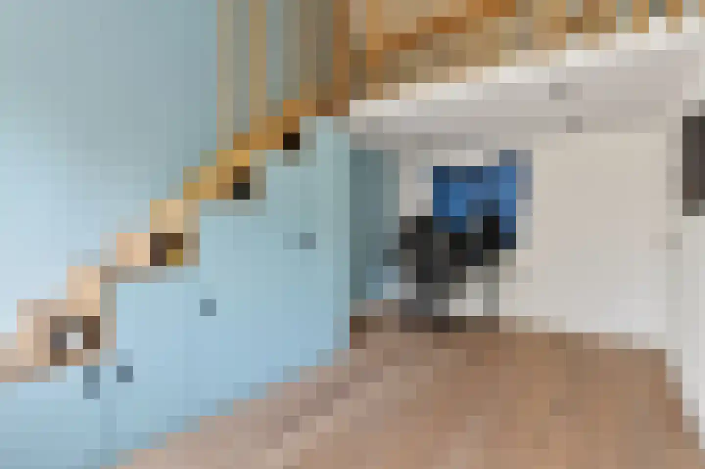 Meervalweg 35 Landsmeer thumbnail 36