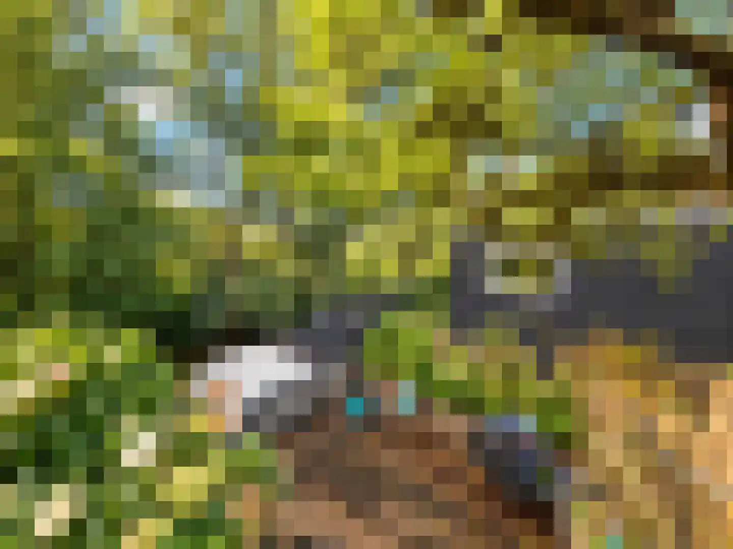 Meervalweg 35 Landsmeer thumbnail 4