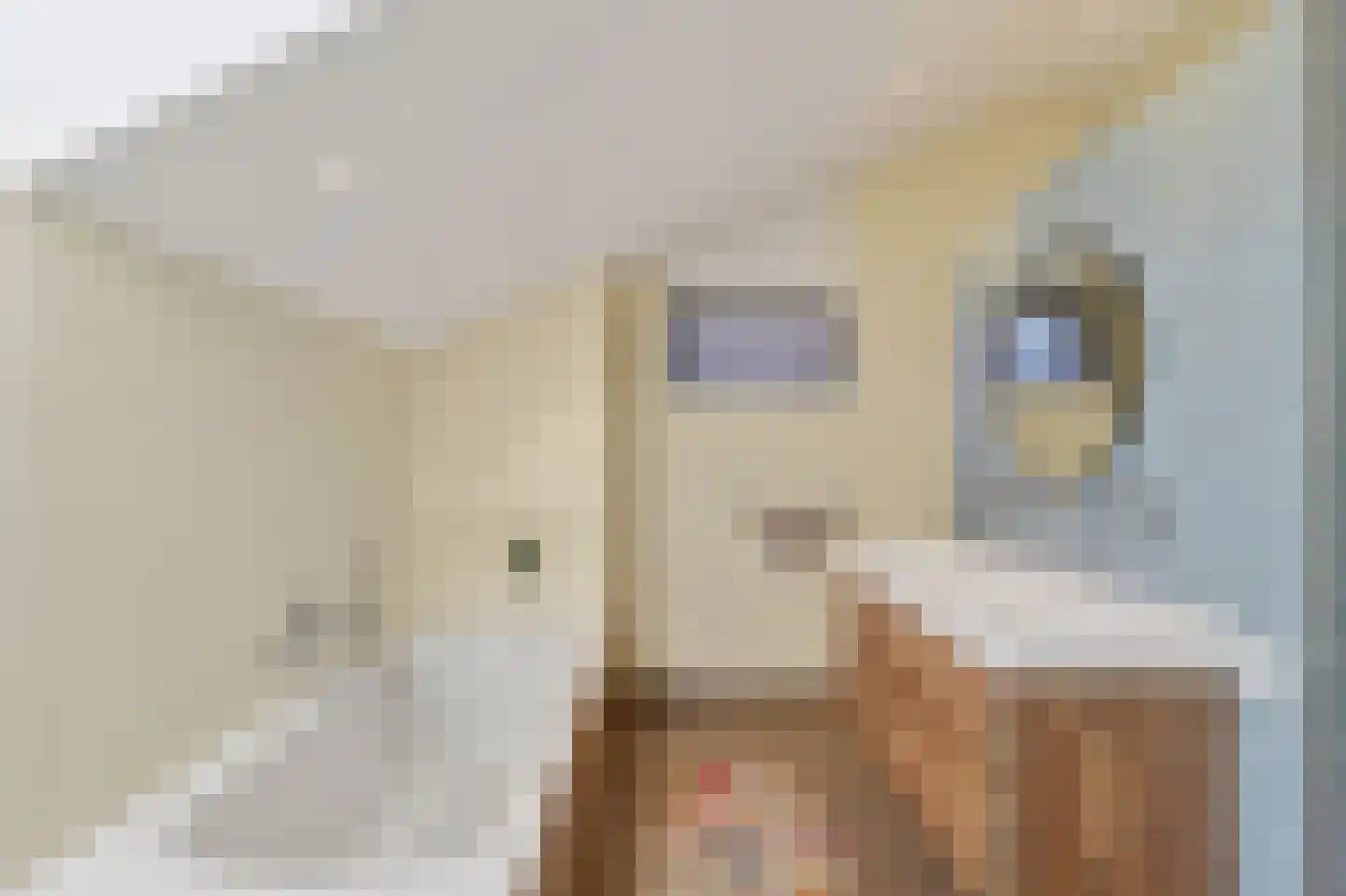 Meervalweg 35 Landsmeer thumbnail 42