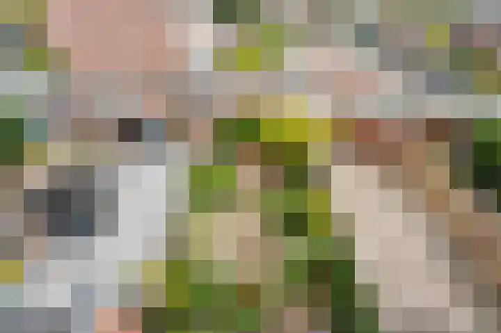 Meervalweg 62 Landsmeer thumbnail 35