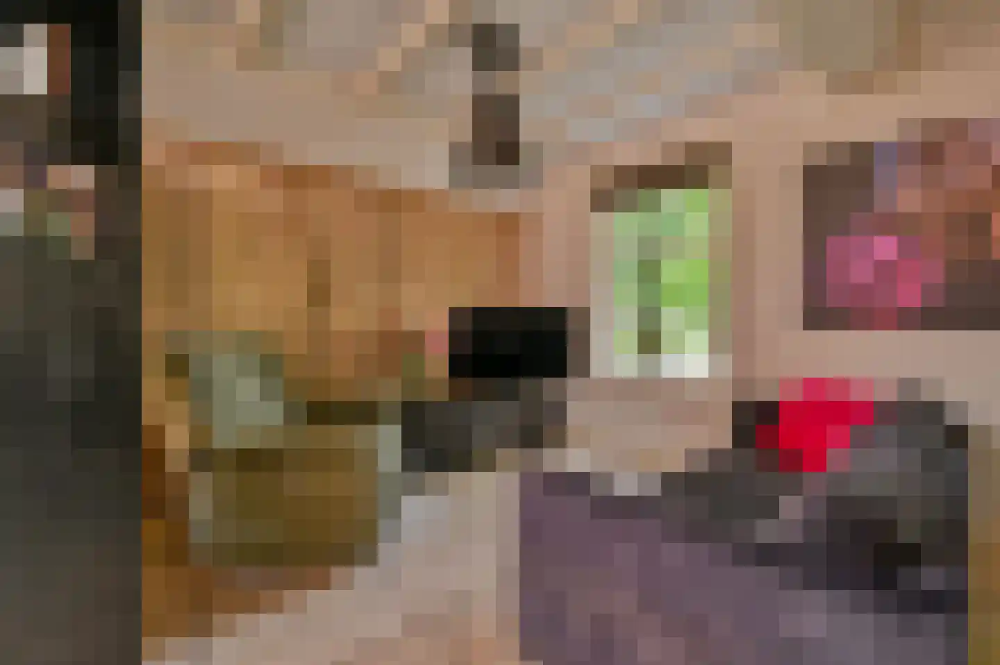 Meervelderweg 72 Uddel thumbnail 17