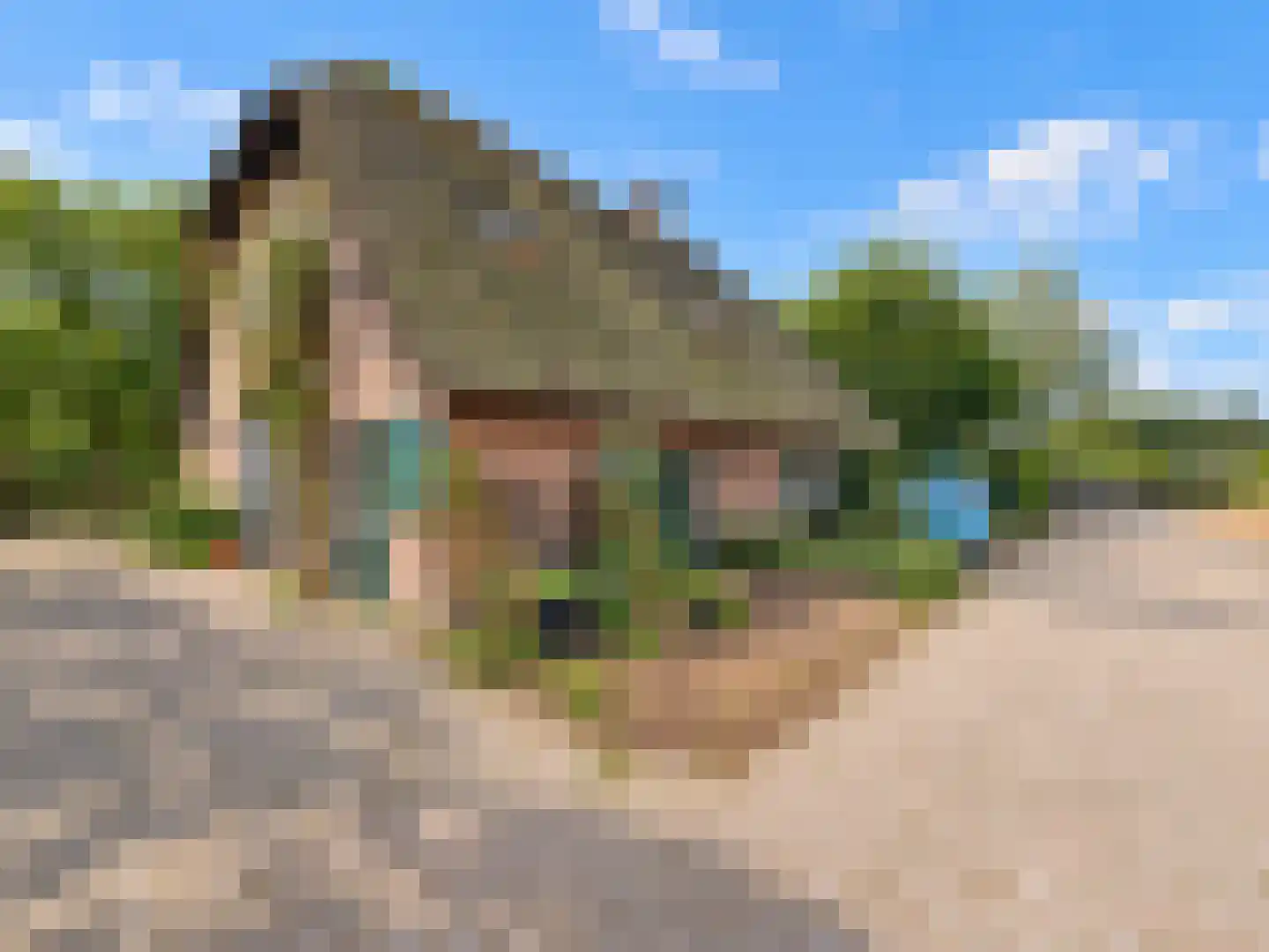 Meervelderweg 72 Uddel thumbnail 37
