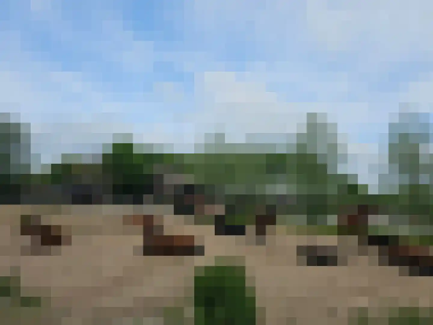 Meervelderweg 72 Uddel thumbnail 38