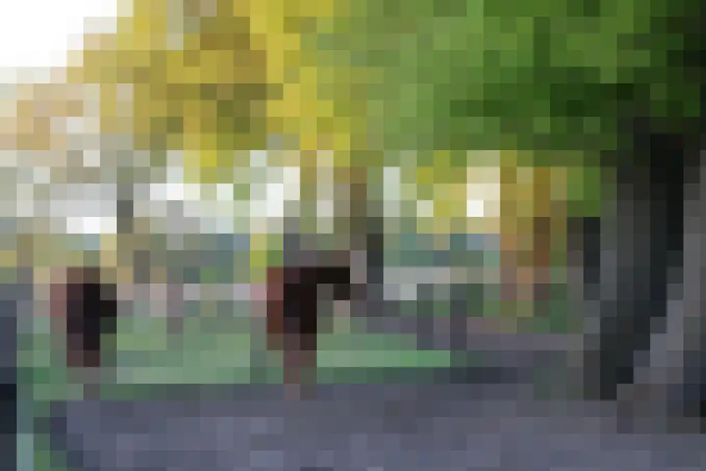 Meervelderweg 72 Uddel thumbnail 4