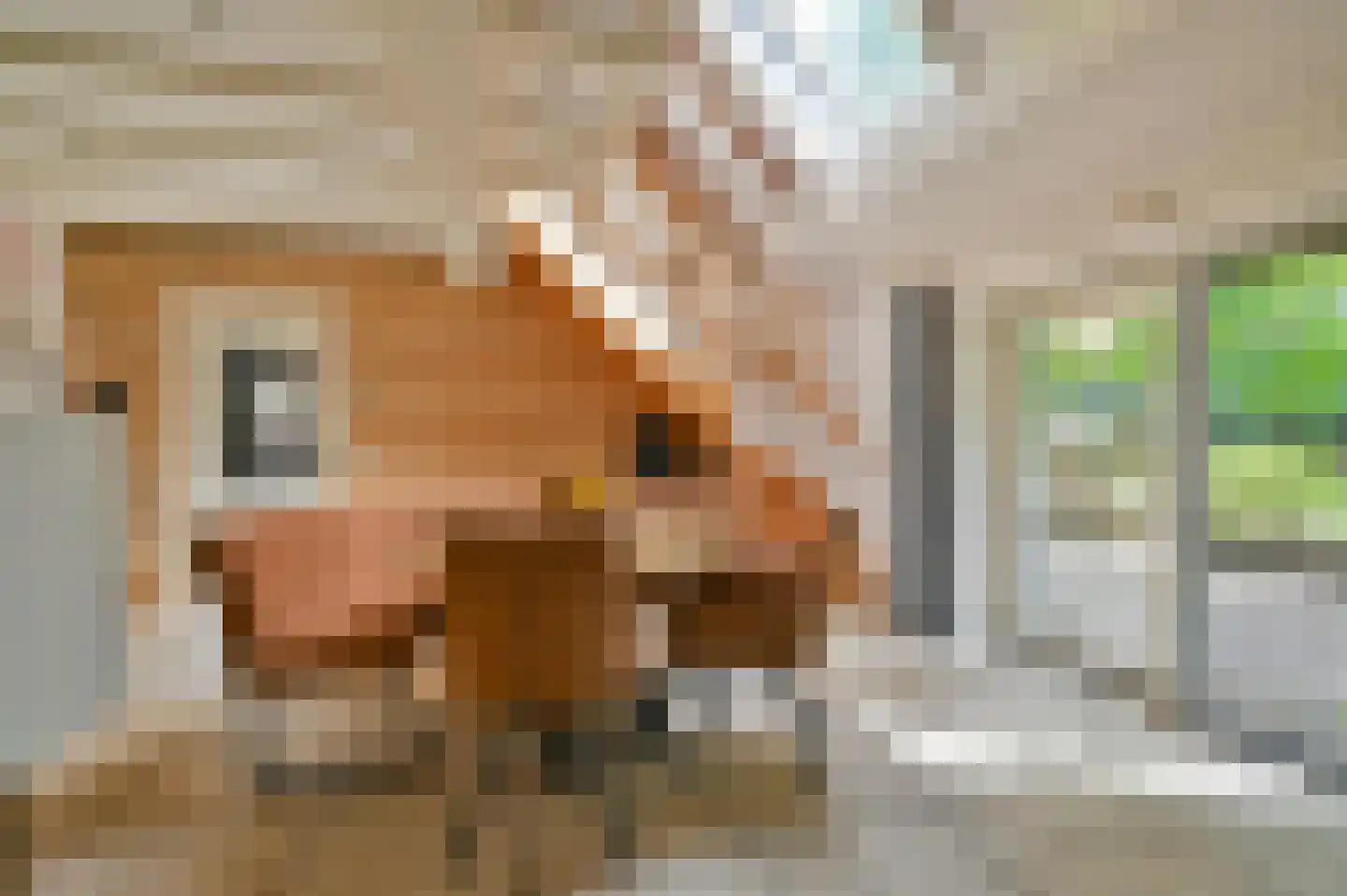 Meervelderweg 72 Uddel thumbnail 8