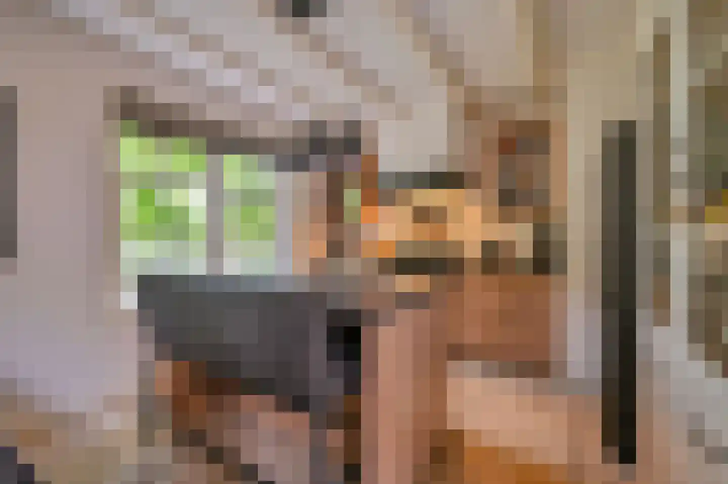 Meervelderweg 72 Uddel thumbnail 9