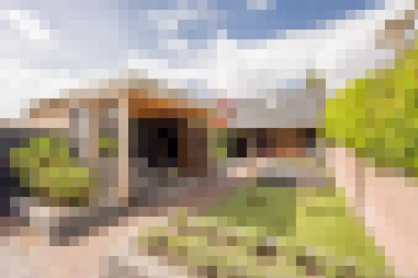 Meerveldlaan 10 Hoevelaken thumbnail 35