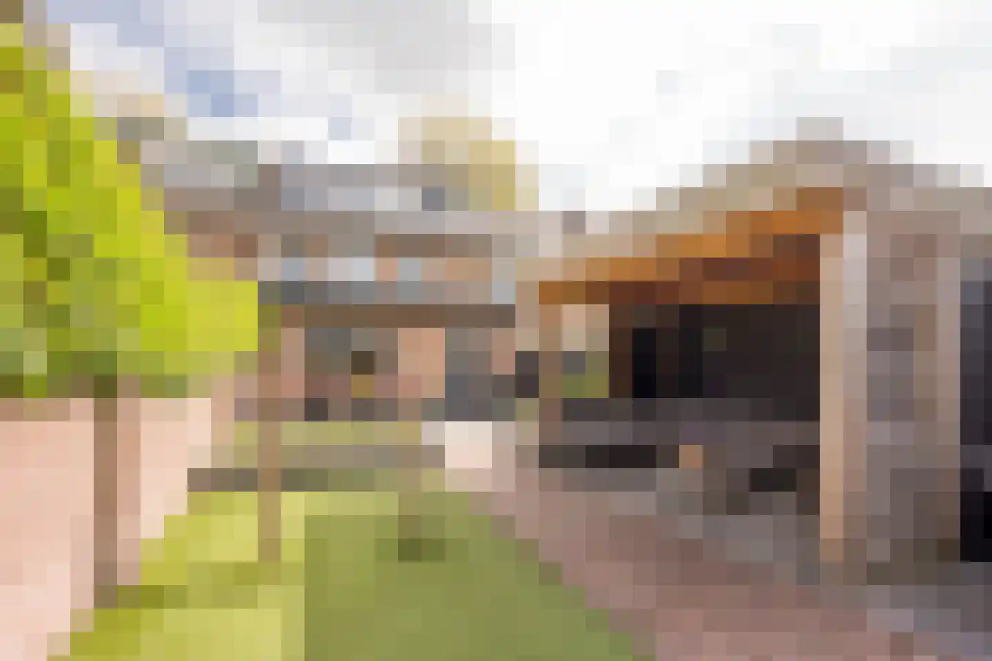 Meerveldlaan 10 Hoevelaken thumbnail 36