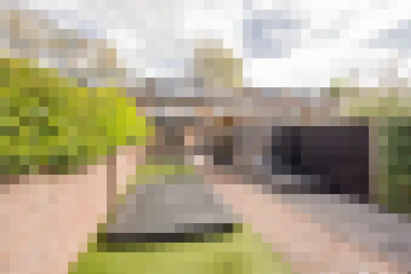 Meerveldlaan 10 Hoevelaken thumbnail 37