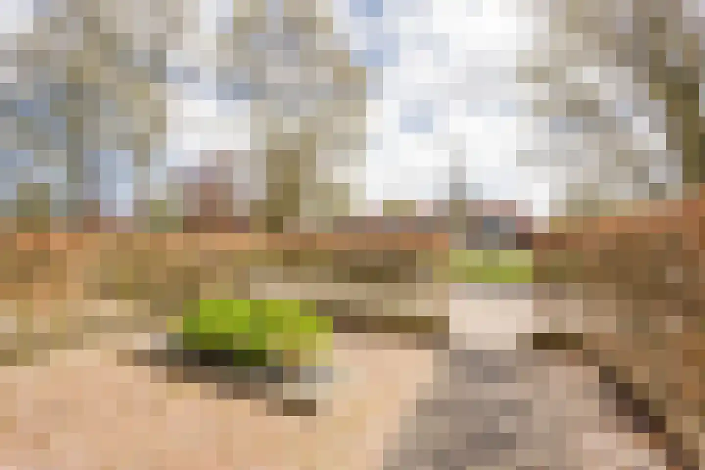 Meerveldlaan 10 Hoevelaken thumbnail 39