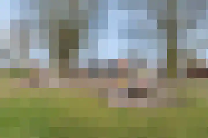 Meerveldlaan 18 Hoevelaken thumbnail 12