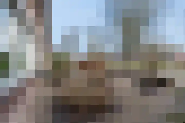 Meerveldlaan 18 Hoevelaken thumbnail 13