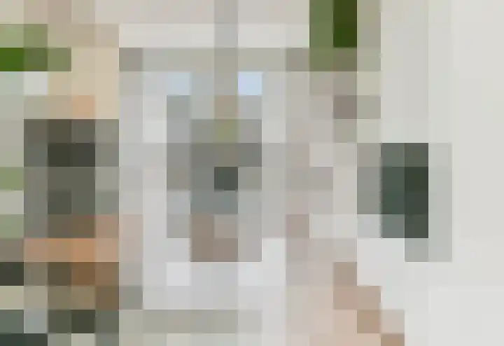 Meerveldlaan 18 Hoevelaken thumbnail 22