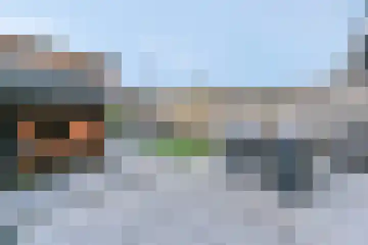 Meerveldlaan 18 Hoevelaken thumbnail 39