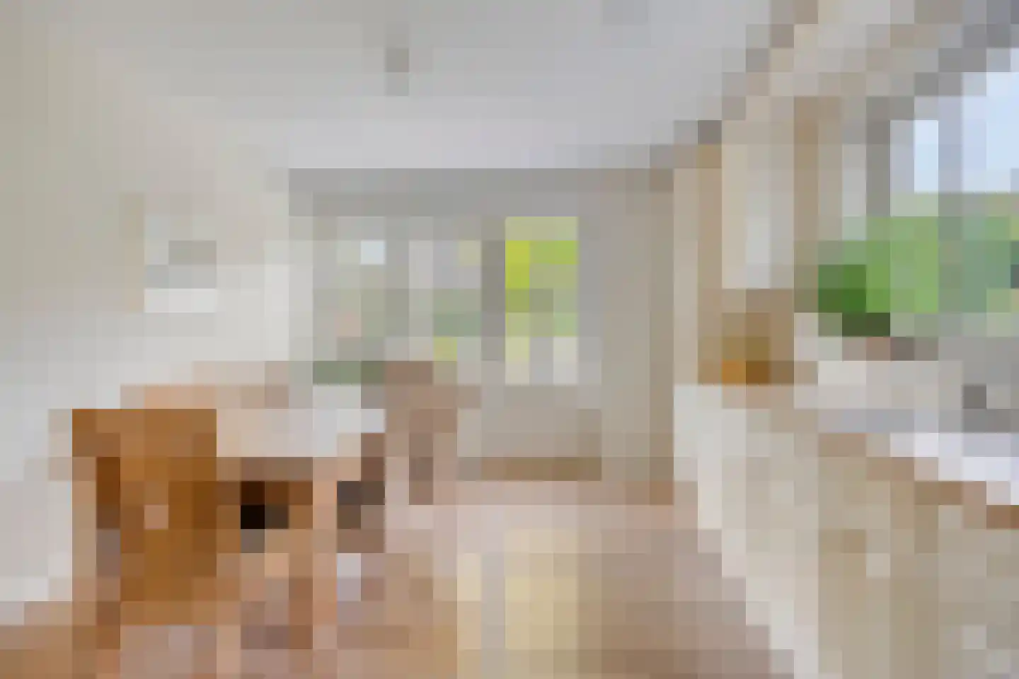 Meerveldstraat 29 Almere thumbnail 24