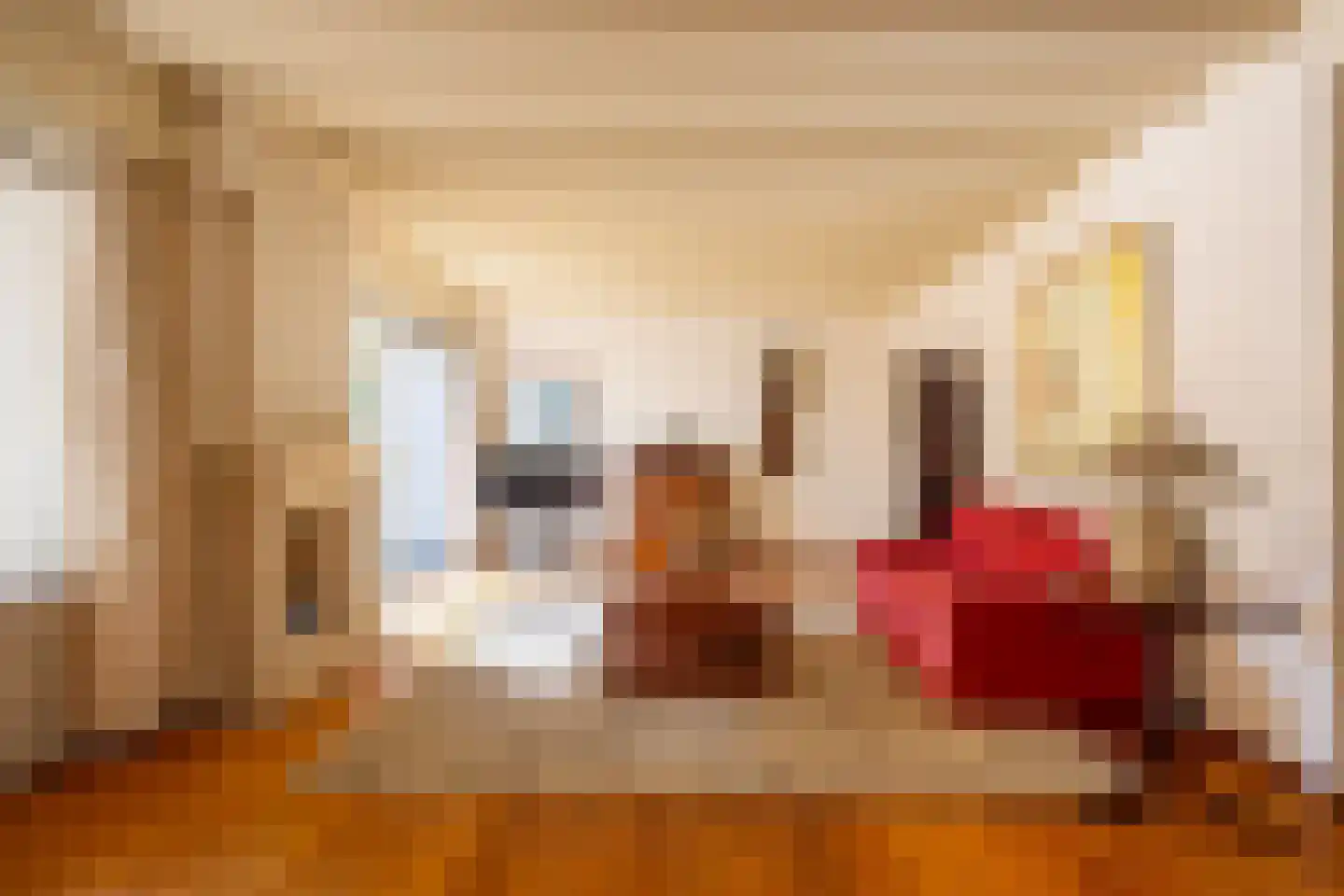 Meervenstraat 6 Oirschot thumbnail 12