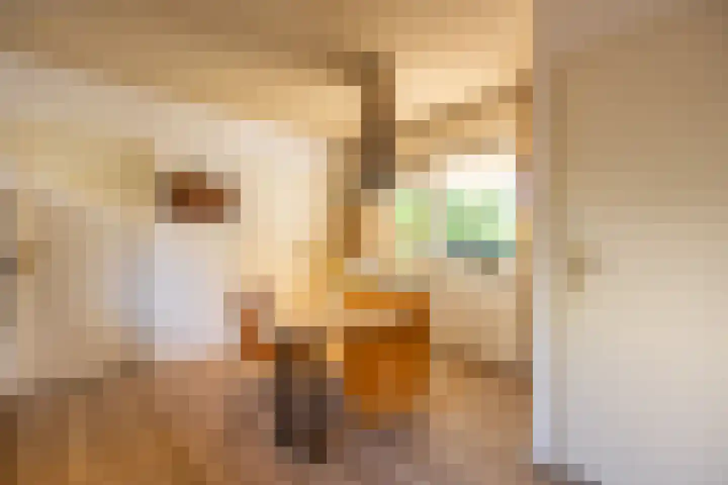 Meervenstraat 6 Oirschot thumbnail 17