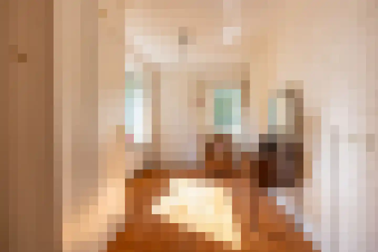 Meervenstraat 6 Oirschot thumbnail 22