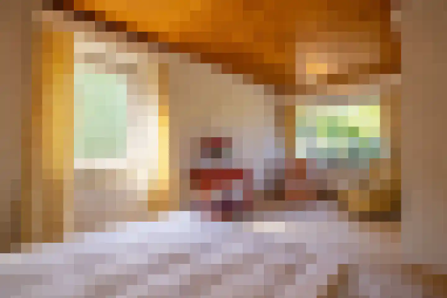 Meervenstraat 6 Oirschot thumbnail 23