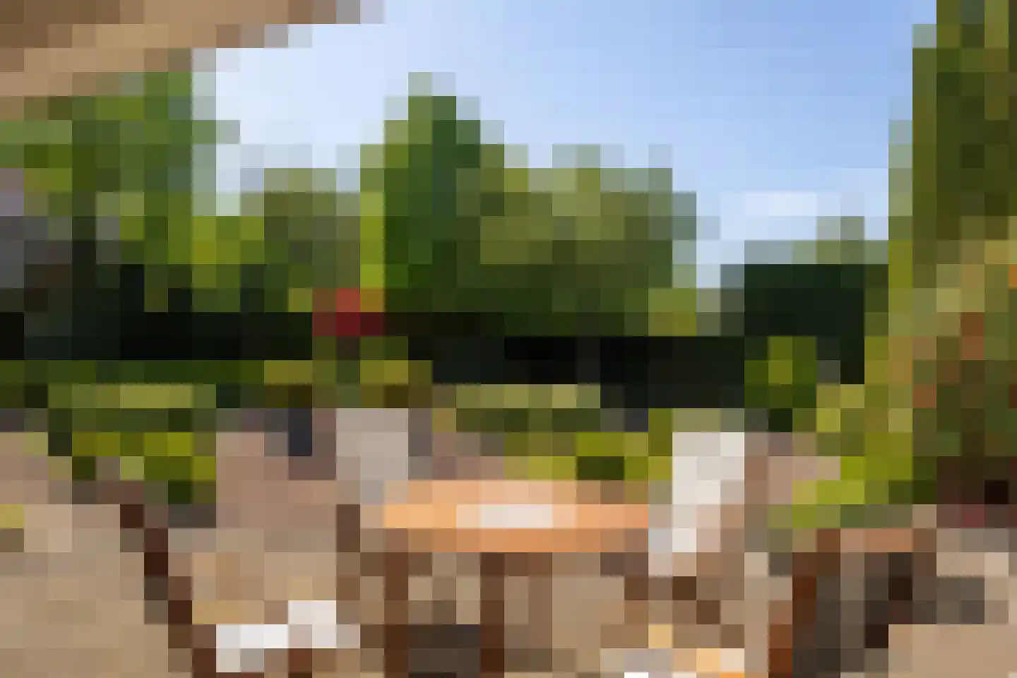 Meervenstraat 6 Oirschot thumbnail 37