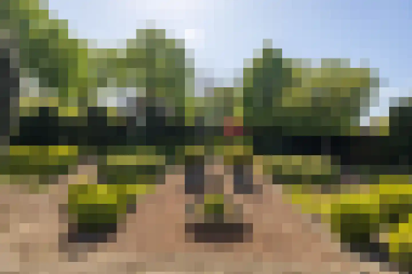 Meervenstraat 6 Oirschot thumbnail 40