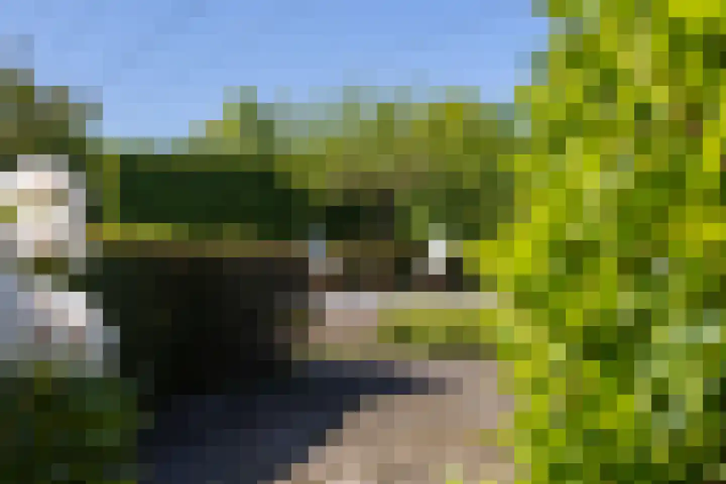 Meervenstraat 6 Oirschot thumbnail 42